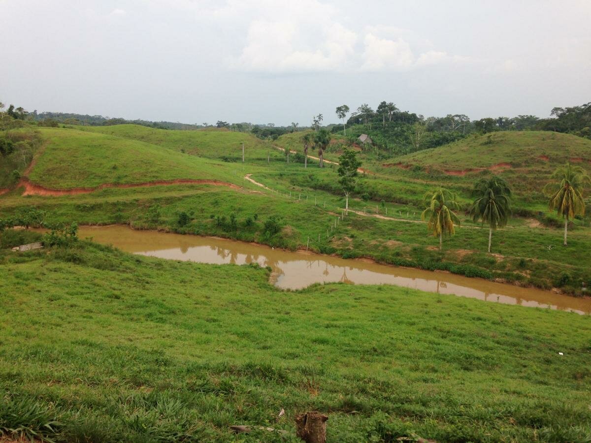 Alluvial (floodplain) landscape